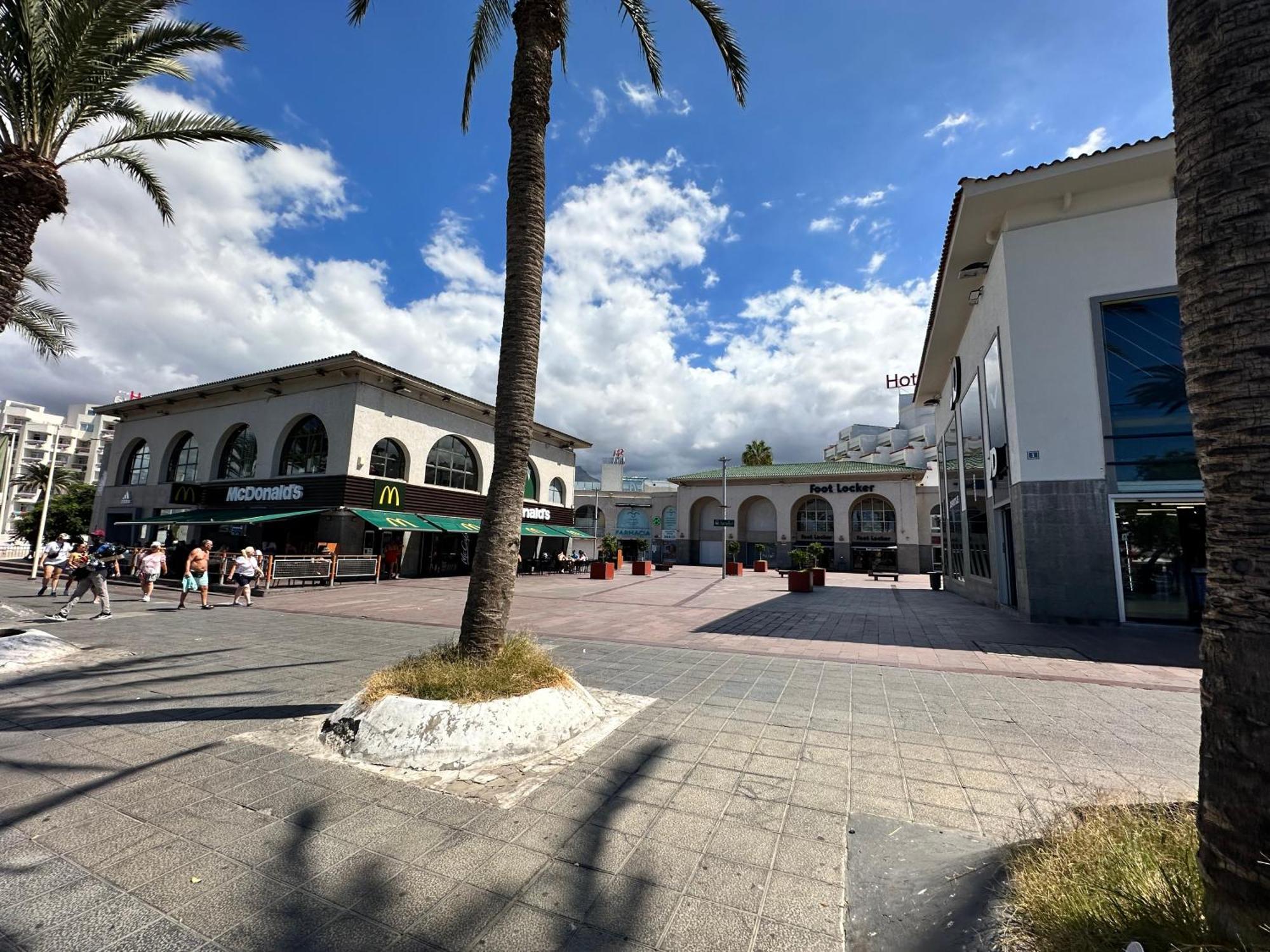 Playa Paradise Apartment Arona (Tenerife)