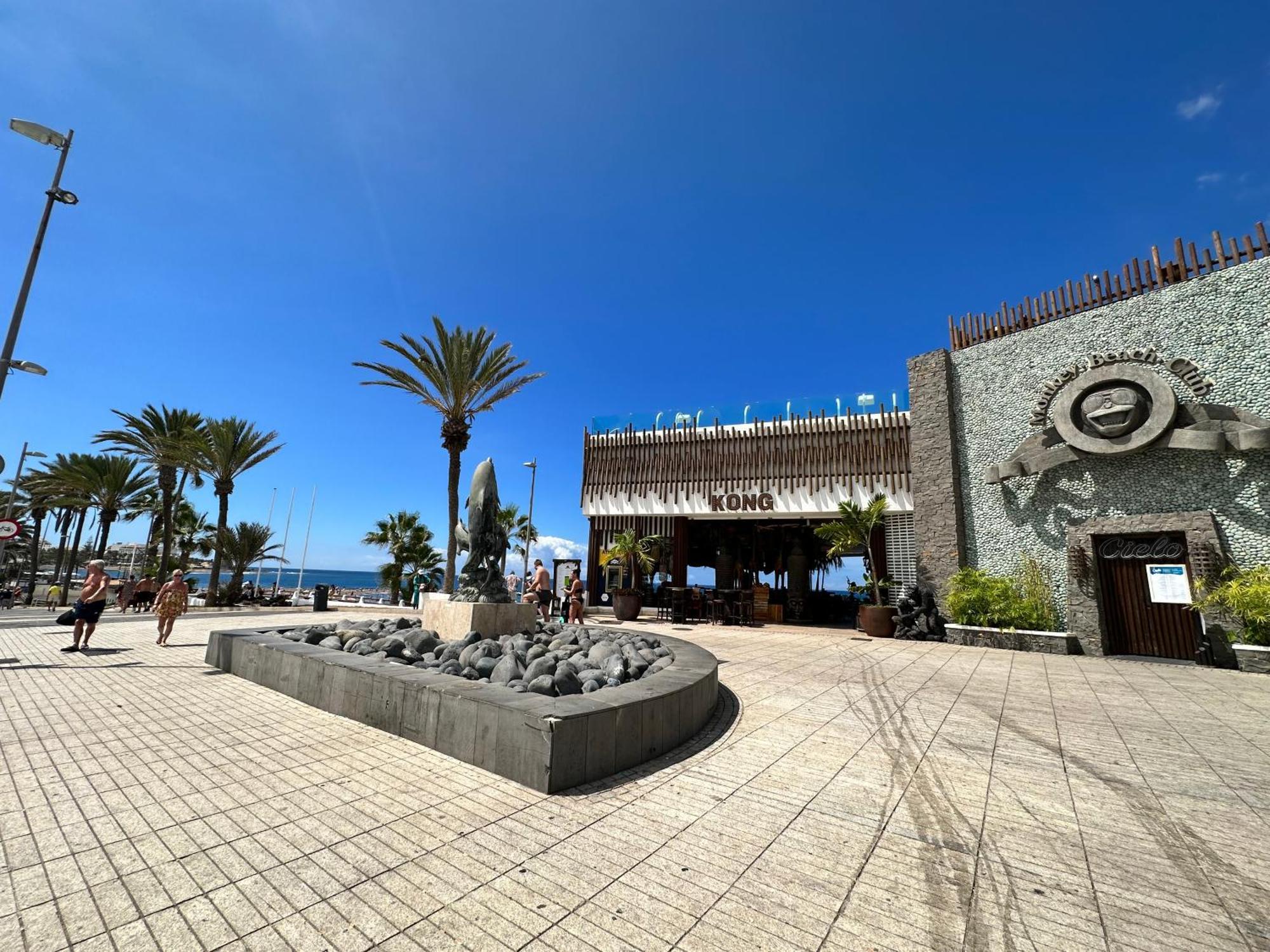 Playa Paradise Apartment